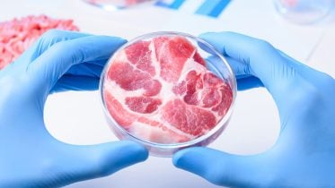 Breakthrough Could Reduce Cultivated Meat Production Costs by up to 90%