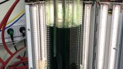 Cultivation of Cyanobacteria in Photobioreactor