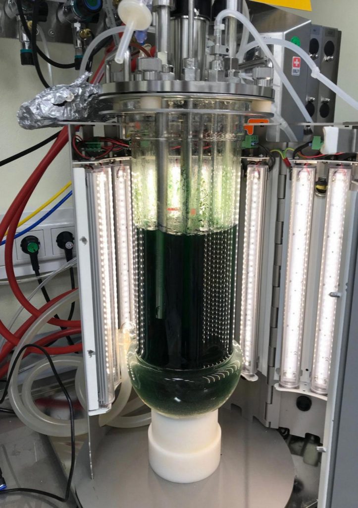 Cultivation of Cyanobacteria in Photobioreactor