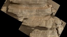 Curiosity Rover Views Crystal-Shaped Bumps on Bedrock