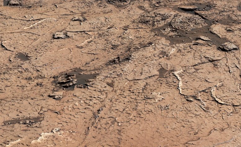 Curiosity Views Mud Cracks Close Up