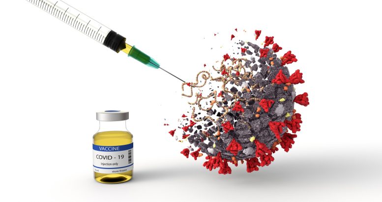 Current Vaccines Teach T Cells To Fight Omicron