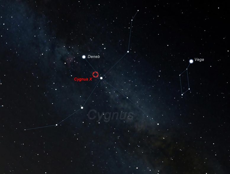 Cygnus Cocoon in the Cygnus Constellation