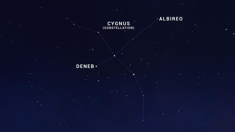 Cygnus Constellation Skychart