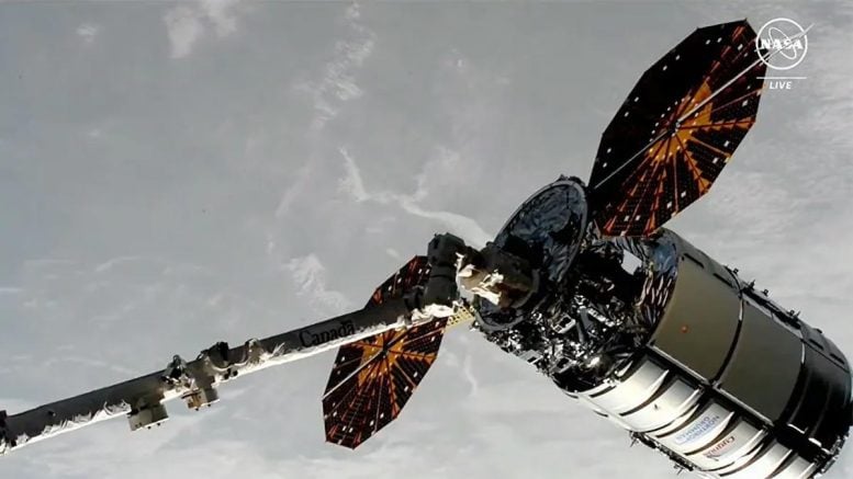 Frachtowiec kosmiczny Cygnus w uścisku ramienia robota Canadarm2