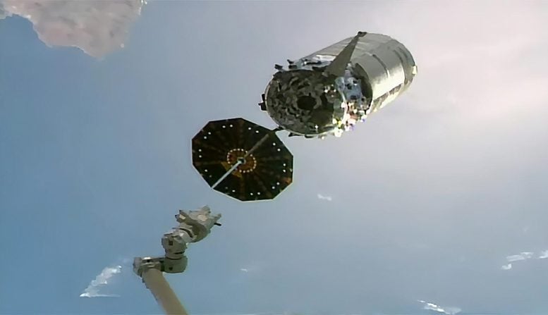 Cygnus Space Freighter Released From Canadarm2