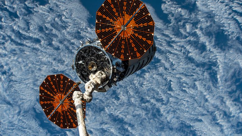 La nave espacial Cygnus en manos del brazo robótico Canadarm2