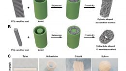 Cylinder-Shaped Nanofiber Scaffold Schematic