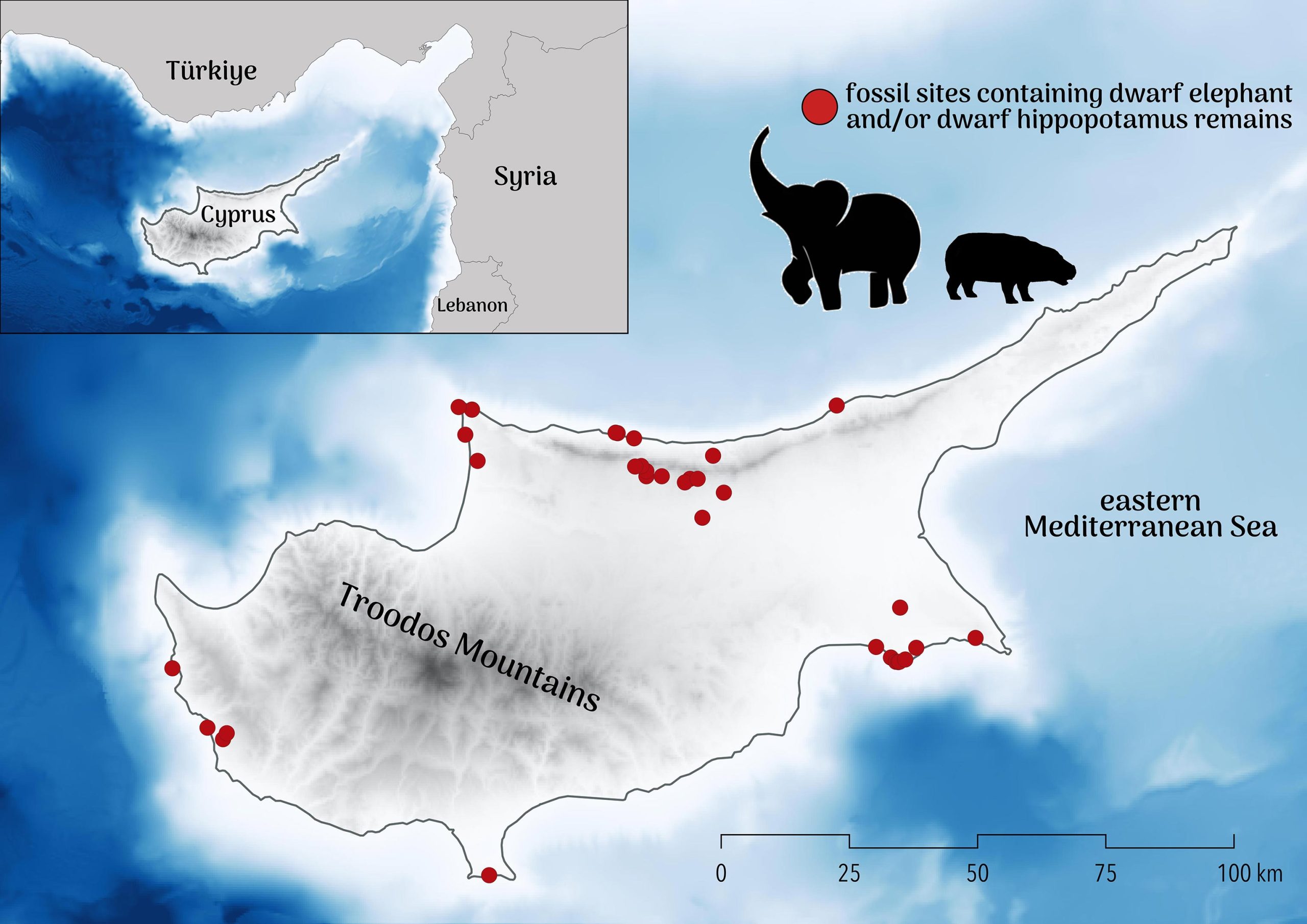 Mystery Solved Why Did Cyprus’ Dwarf Elephants and Hippos Suddenly