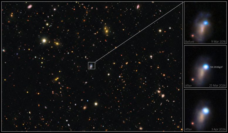 DECam Supernova SN 2026gzf