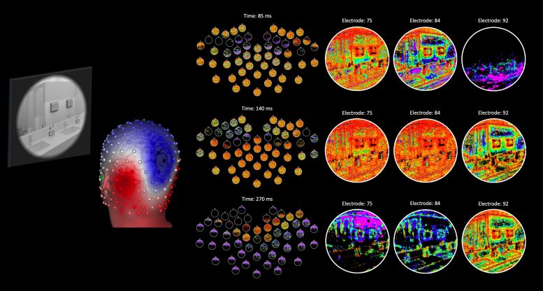 DETI Mapping Results From the Brain