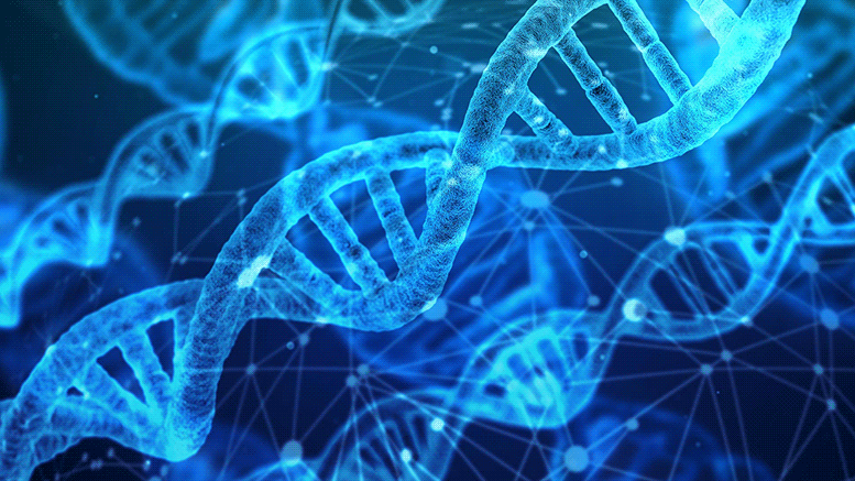 Scientists Uncover Mystery of DNA Methylation