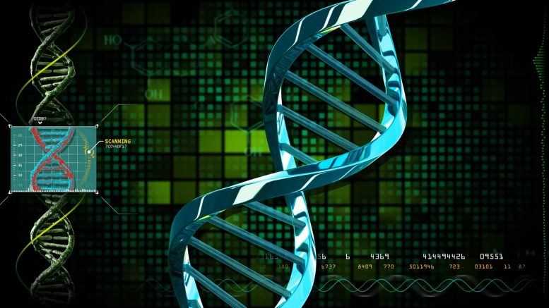 DNA Comparison Concept