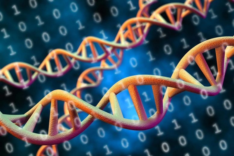 DNA Data Storage Concept