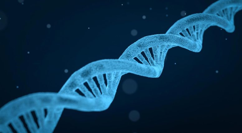 DNA Double Helix Illustration