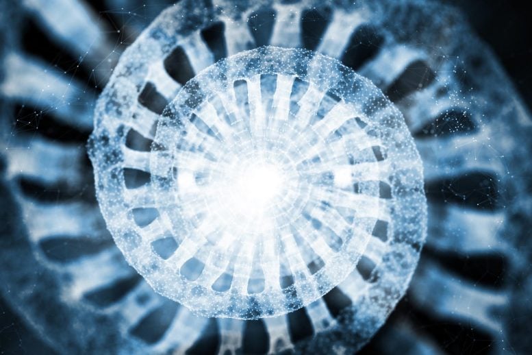 Microscopic Droplets Reveal DNA’s Secret Architecture