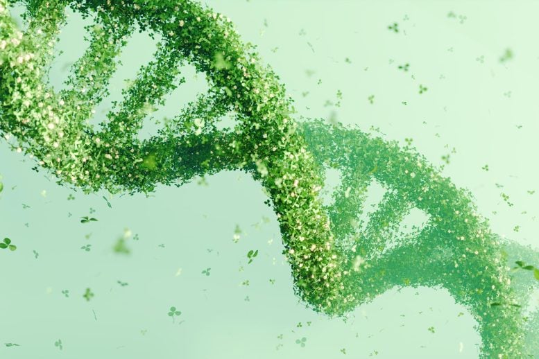 Hidden DNA in Plants Reveals a 400 Million Year Evolutionary Secret