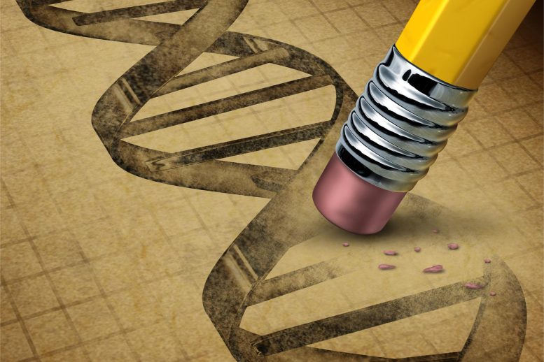DNA Editing Genetic Engineering Concept