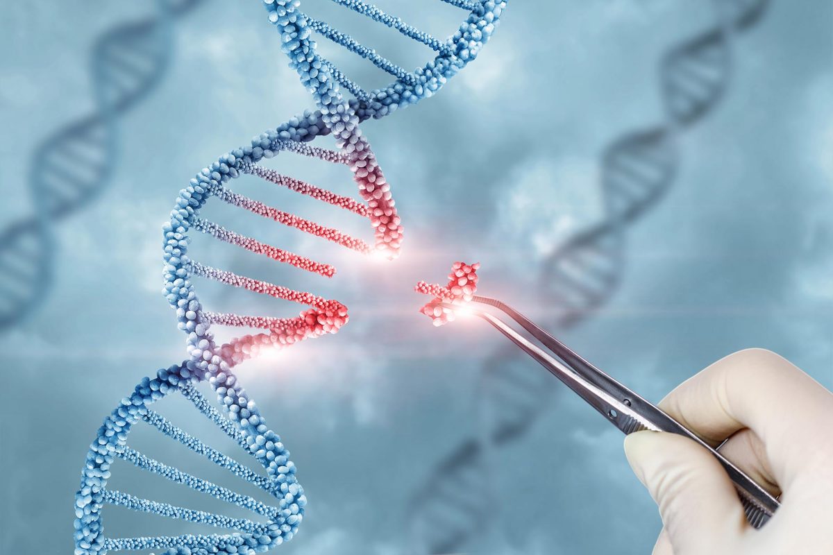 MIT Scientists Unlock a New Level of Precision in Gene Editing