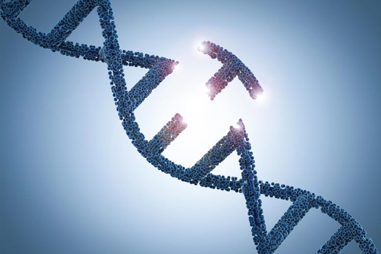 DNA Genetic Editing Concept