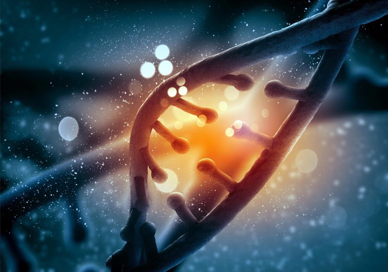 Newly Discovered Cluster of Genes Increases Longevity