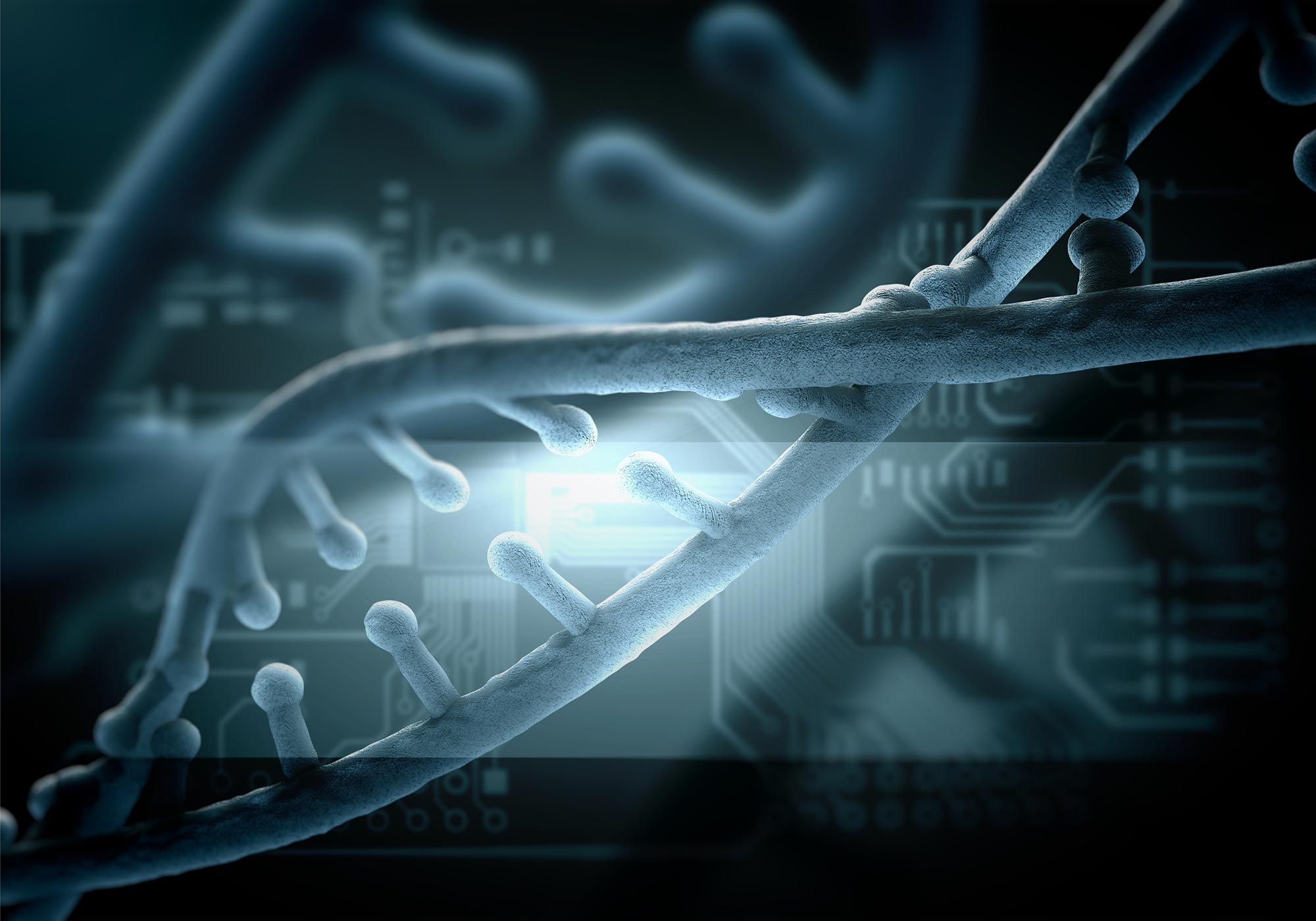 DNA遺伝学技術のコンセプト