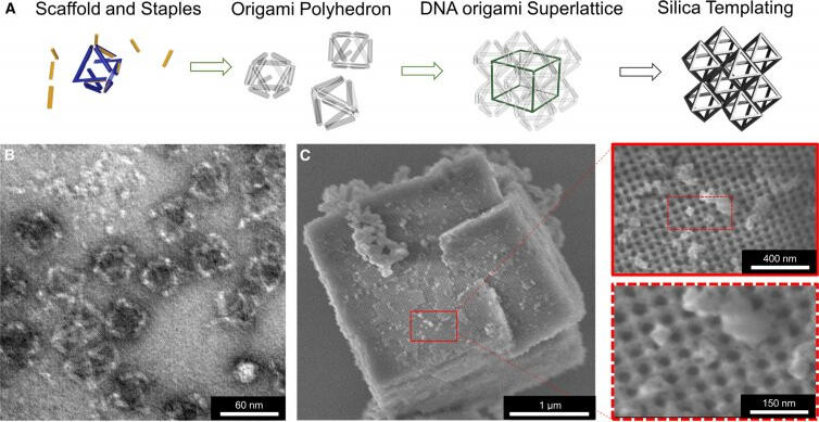 Graphique de matériau en verre d'ADN