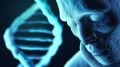 DNA Human Origins