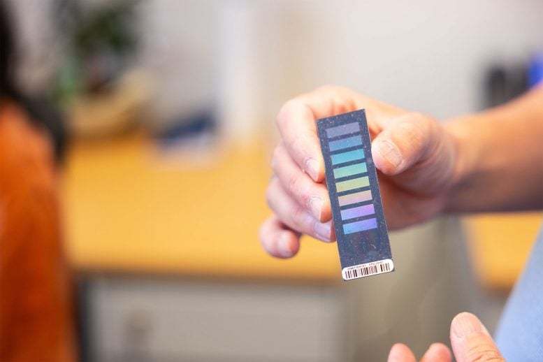 DNA Methylation Microarray