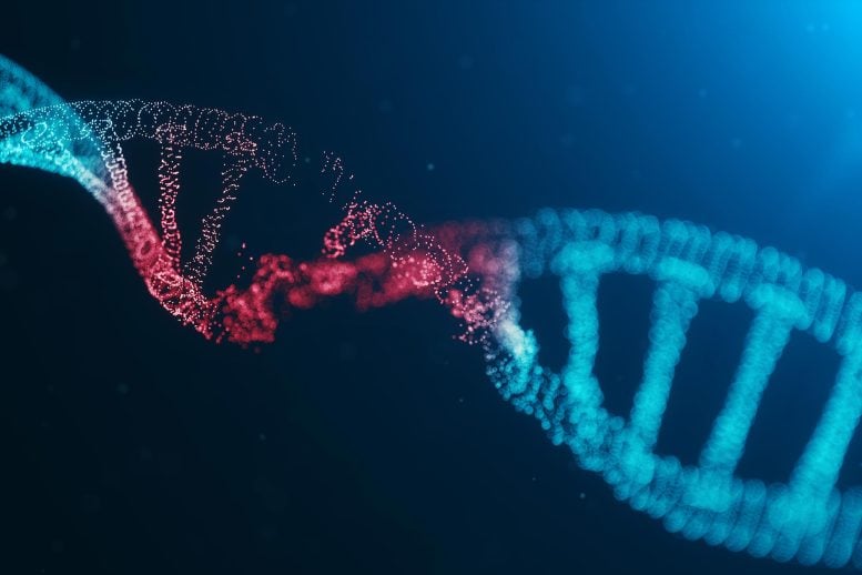 This New Sensor Shows DNA Repair in Real Time [Video]