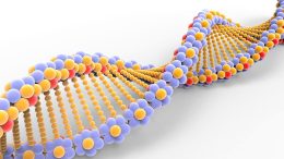 DNA Molecule Model Illustration