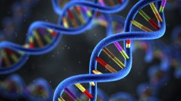 DNA Molecules Genetics Illustration