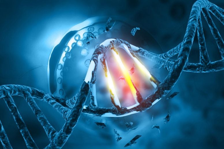 DNA Mutation Genetic Damage