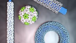 DNA Origami Nanostructures