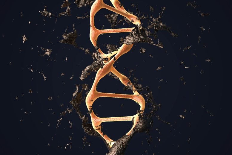 DNA Regeneration Genetic Damage