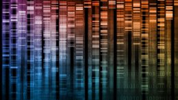 DNA Research of Science