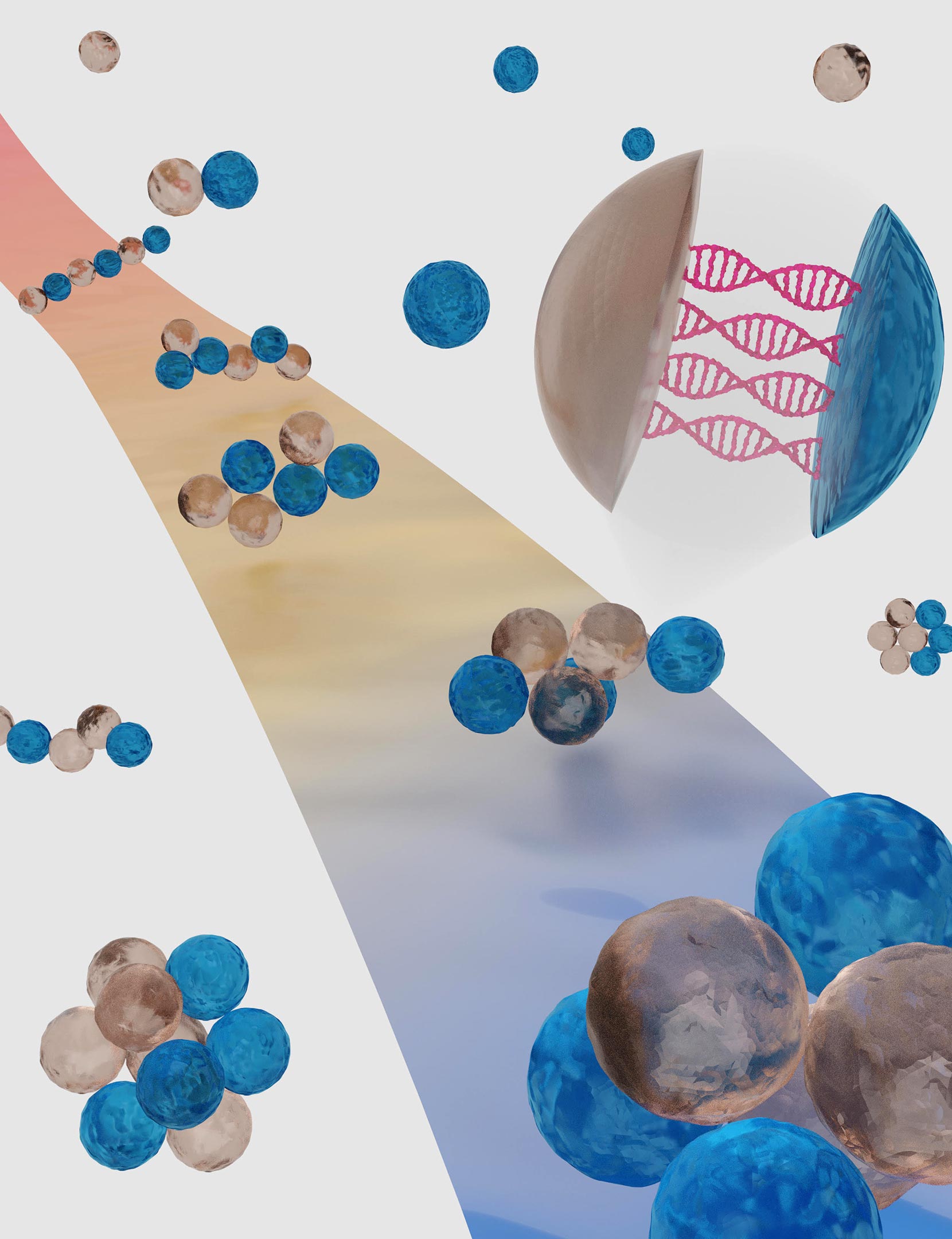 DNA Strands Programmed To Fold Into Specific Geometries