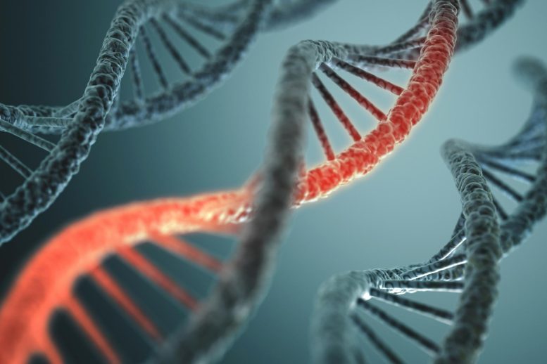 DNA Structure Change Illustration