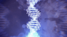 DNA Transfer Concept