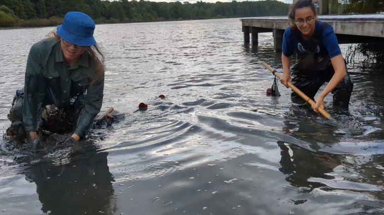 Daemin Kim and Maya Stokes Sampling for Fish