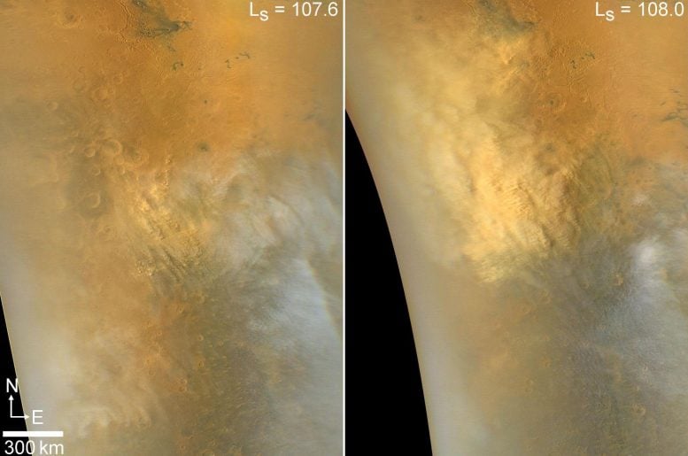 Daily MRO MARCI Global Map Images of the Initial Growth of a Rare Regional Dust Storm in Northwestern Syrtis Major