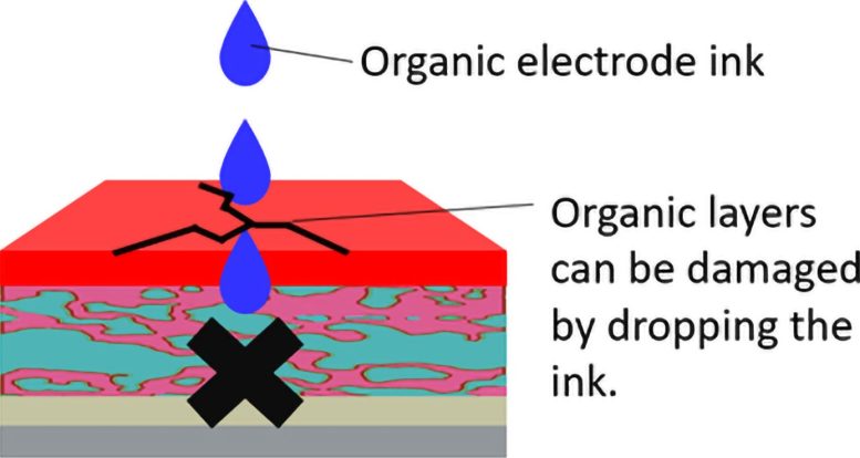 Damage to Organic Layers During Electrode Fabrication in Solution Processed Solar Cells