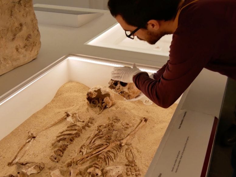 Daniel Fernandes Sample