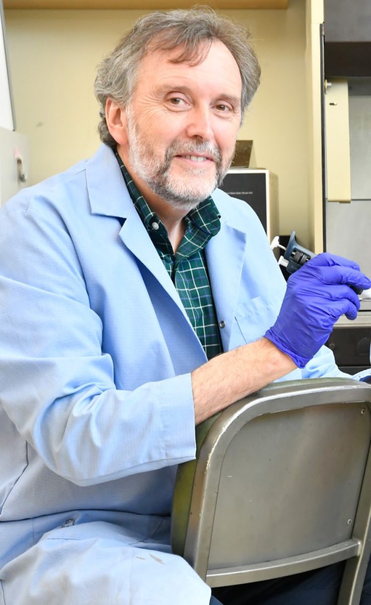 Daniel Panaccione