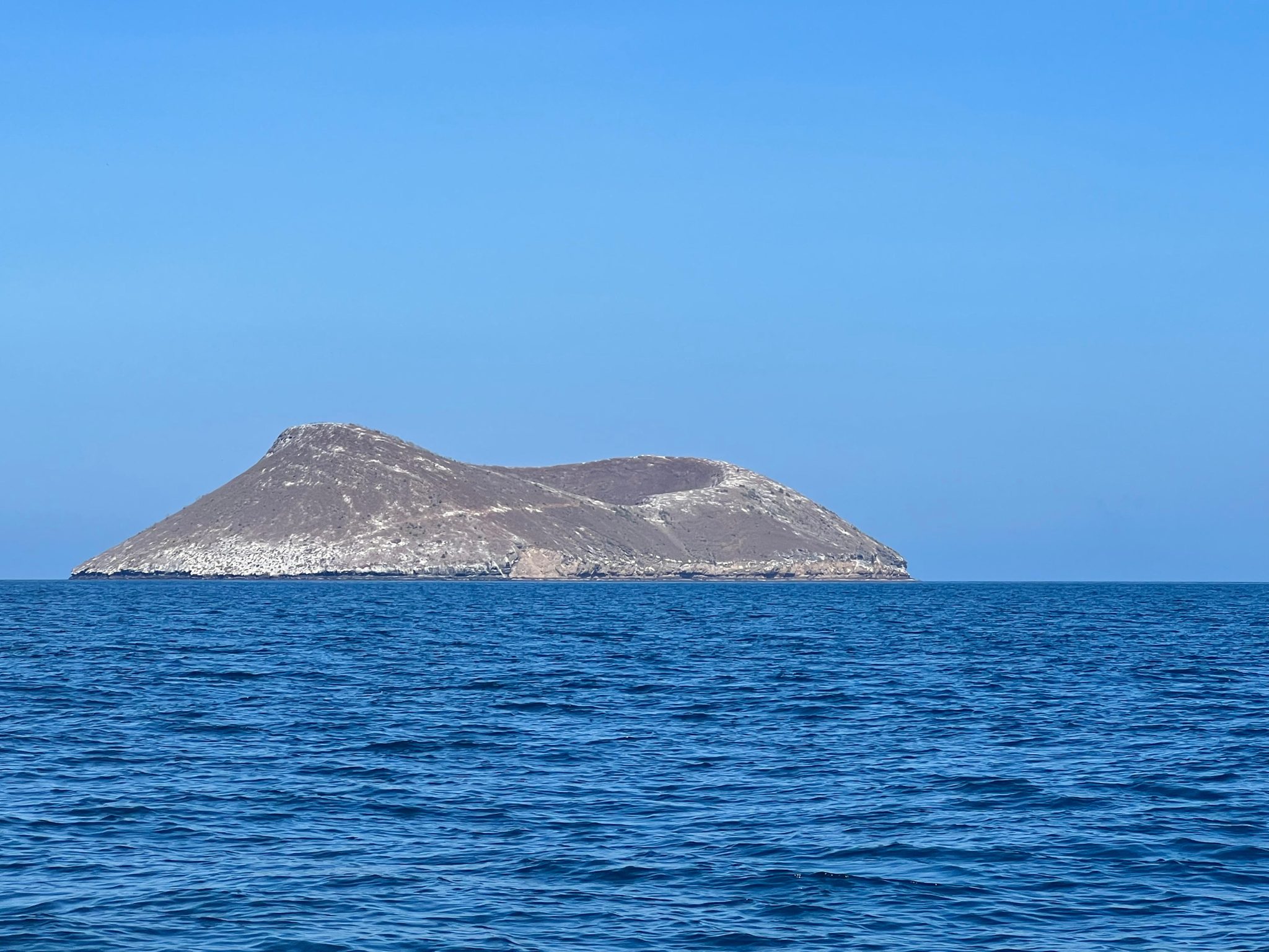 Decoding Evolution: Landmark Study Sheds Light on Darwin’s Iconic Finches