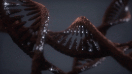 Dark DNA Double Helix