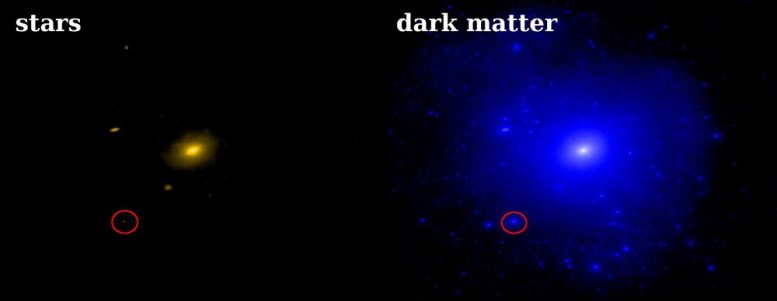 Dark Matter Dominates Nearby Dwarf Galaxy Triangulum II