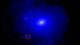 Dark Matter Dominates in Nearby Dwarf Galaxy Triangulum II
