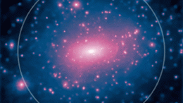Dark Matter Galaxy Simulations