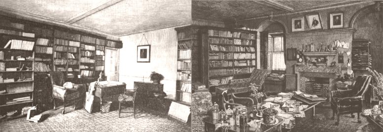 צילום ארון ספרים של דארווין